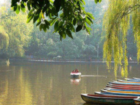 成都人民公园相亲角,单身孩子们父母的聚集点