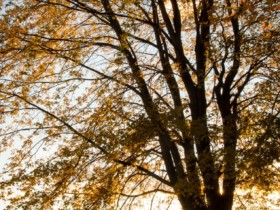 相亲见面如何不冷场