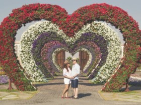 表白被拒怎么办?