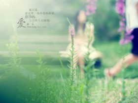 成都婚介所高端红娘分析相亲恋爱后遭遇冷淡的原因