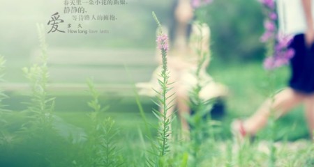 恋爱时男生的情绪也不容疏忽