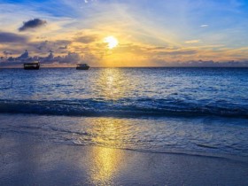 单身选择线上婚恋相亲平台的注意事项