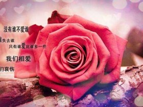 成都单身男士婚介所征婚相亲最影响成功率的几种行为