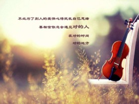 实体婚介与征婚相亲网哪个好?