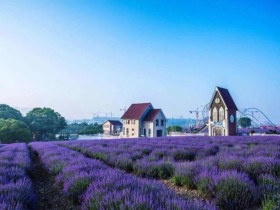 明知道不合适还嫁,成都百和情缘结合征婚相亲网案例谈原因