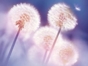 婚恋相亲网靠谱吗?成都百和情缘答疑