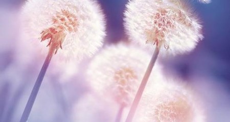 婚恋相亲网靠谱吗?成都百和情缘答疑