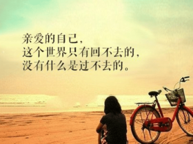 什么样的征婚相亲网才是比较好的?