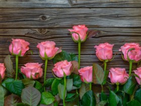 分手之后该如何有步骤的去挽回对方?