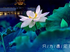 如何正确吵架?