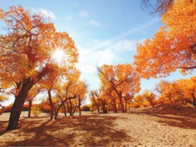 婚恋相亲见面前需要考虑哪些细节?