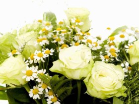 关于相亲条件的限定,成都百和情缘婚恋老师的一些观点