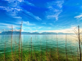 婚后总是抱怨彼此,百和情缘结合征婚网案例分析原因