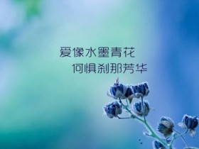 选择另一半,品性和物质哪个更重要?