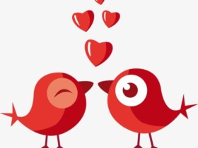 不合适就换人,就能找到真爱?