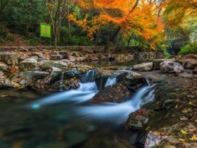 单身找对象应该如何调整心态?