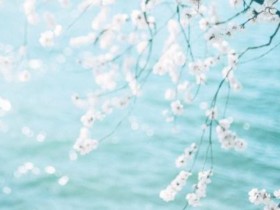 追求者众多该如何抉择?百和情缘给婚恋相亲网友建议