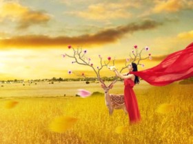 百和情缘答疑:婚恋相亲中要不要为了对方改变自己?