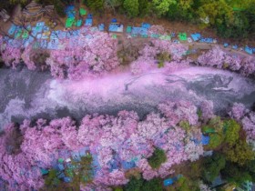 百和情缘:为什么你把喜欢的婚恋相亲女生约不出来?