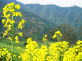 成都婚介所相亲找对象,“不执拗、愿意屈服”更可贵