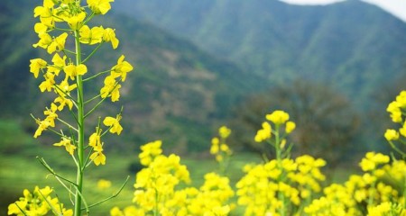 成都婚介所相亲找对象，“不执拗、愿意屈服”更可贵