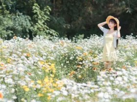 成都婚恋网提醒中年女性,请善待自己的婚姻平淡期