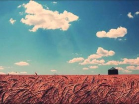 征婚相亲网哪个比较好?征婚相亲哪家比较好?