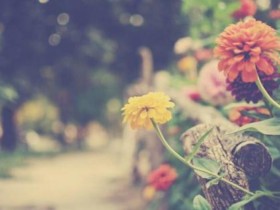 百和情缘婚介所分享:相亲时特别容易紧张怎么办?