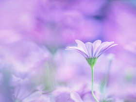 相亲后女生的这些表现十有八九是爱情