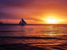 成都金牛区相亲网,成都金牛区相亲网约会成功率