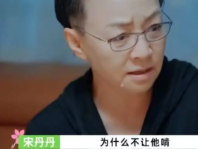 宋丹丹:接受子女“啃老”_引发热议-提倡相亲结婚可以减少啃老压力
