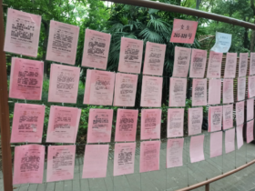 成都人民公园现状-大龄剩女比男生多出5倍