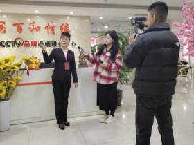 成都相亲指南:如何甄选靠谱婚介公司