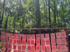 成都人民公园相亲真的能找到对象吗?