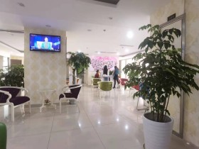 成都百和情缘婚姻服务中心 → 百和情缘信息科技有限责任公司