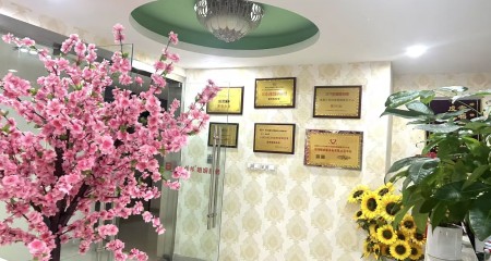 二十二年蓉城深耕，百和情缘如何用“实名制”守住相亲的第一道门