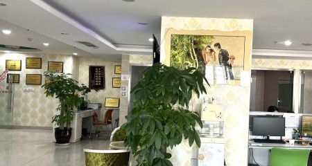 成都线上相亲和线下相亲哪个更靠谱