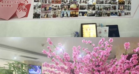 成都高端婚恋一对一服务