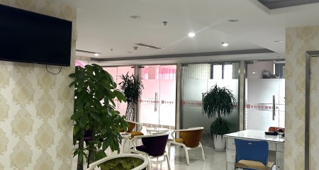 红娘到底在做什么？——一个“非标准”职业的标准化努力