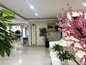 百和情缘如何用精准匹配重塑相亲效率