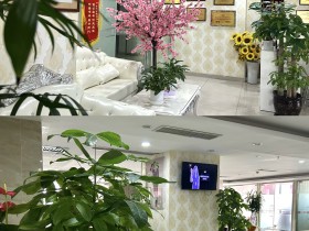 在百和婚介行业,“真实”两个字的分量,比什么都重