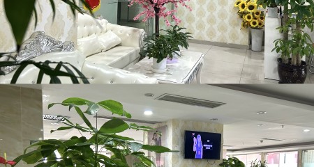 在百和婚介行业，“真实”两个字的分量，比什么都重